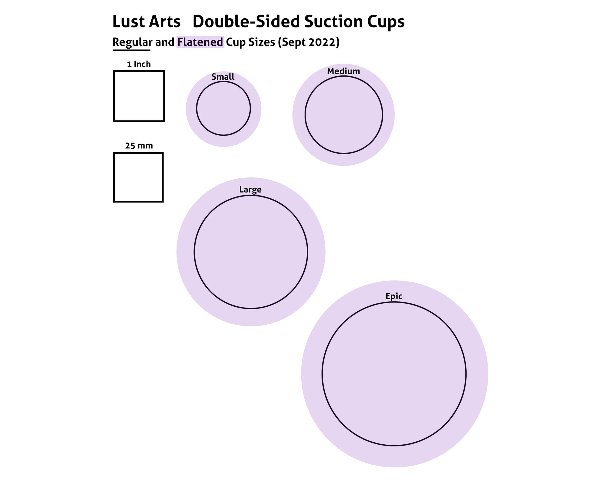 Double-sided Suction Cup (100 pieces)